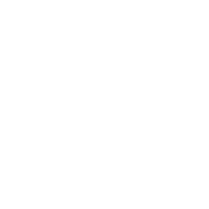 The Riad