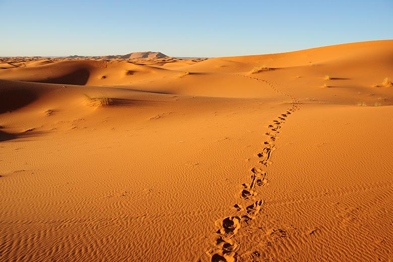 Désert de Merzouga