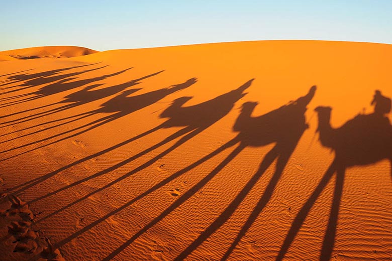 Merzouga Desert